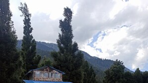 A rustic building with a blue roof, surrounded by a grassy field and dense forest. - Zevibes Cafe & Homestay (Bhuntar)