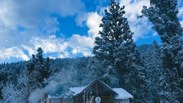 A wooden cabin with a snow-covered roof, surrounded by snow-laden trees and a clear blue sky. - Zevibes Cafe & Homestay (Bhuntar)