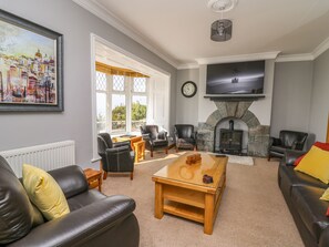 Flat-screen TV