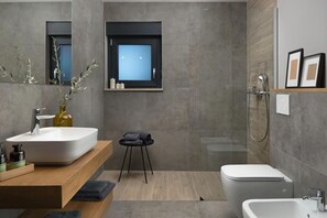 Shower, hair dryer, bidet, towels