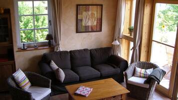 TV connectée, cheminée, lecteur de DVD, chaßne hi-fi