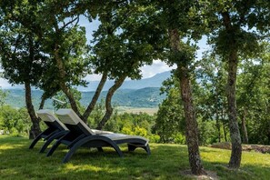Property grounds - Cosy apartment in Potpican (Potpican)