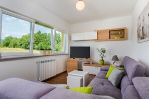 Smart TV y chimenea 