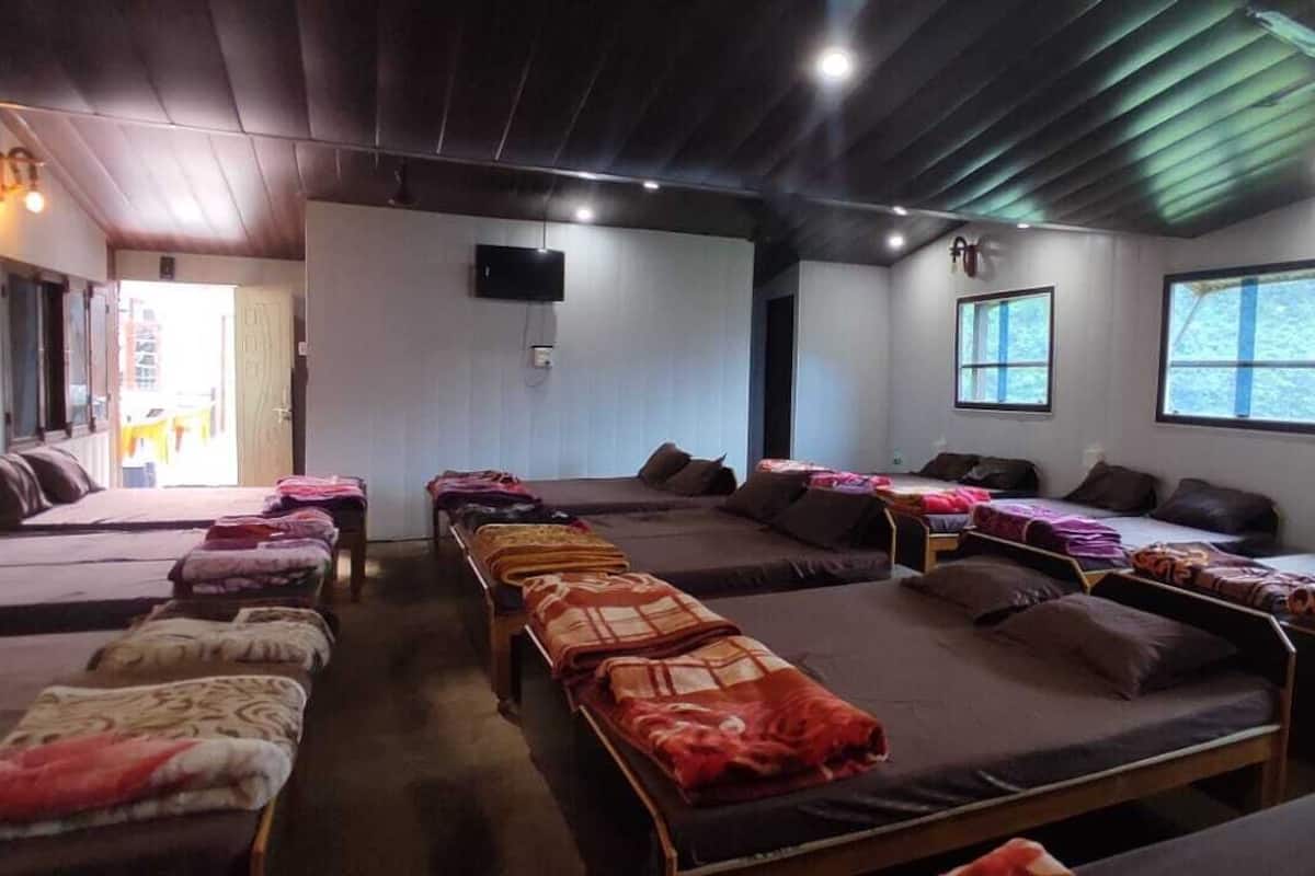 A room with multiple beds arranged in rows, a television mounted on the wall, and windows providing natural light.