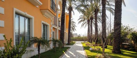 A pathway lined with palm trees and a building with large windows and balconies.