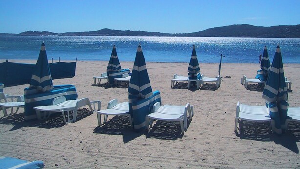 Una spiaggia con file di lettini e ombrelloni, cielo sereno e mare calmo.