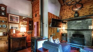 Una sala de estar acogedora con chimenea, paredes de madera y un sofá.
