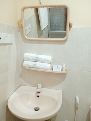 Deluxe Double Room | Bathroom | Free toiletries, bathrobes