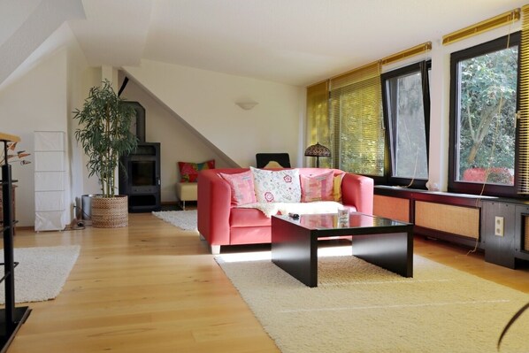 TV, fireplace, books