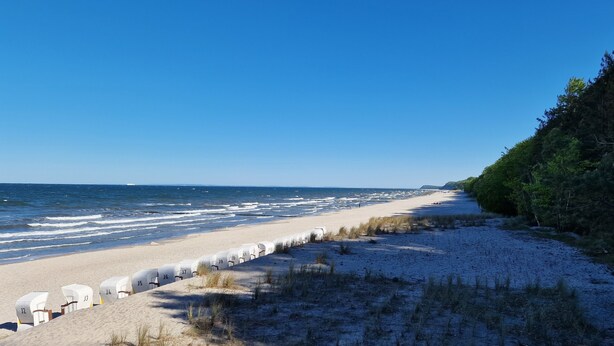 A beach with rows of beach chairs numbered 12 to 17, a sandy shore, and a forested cliff.