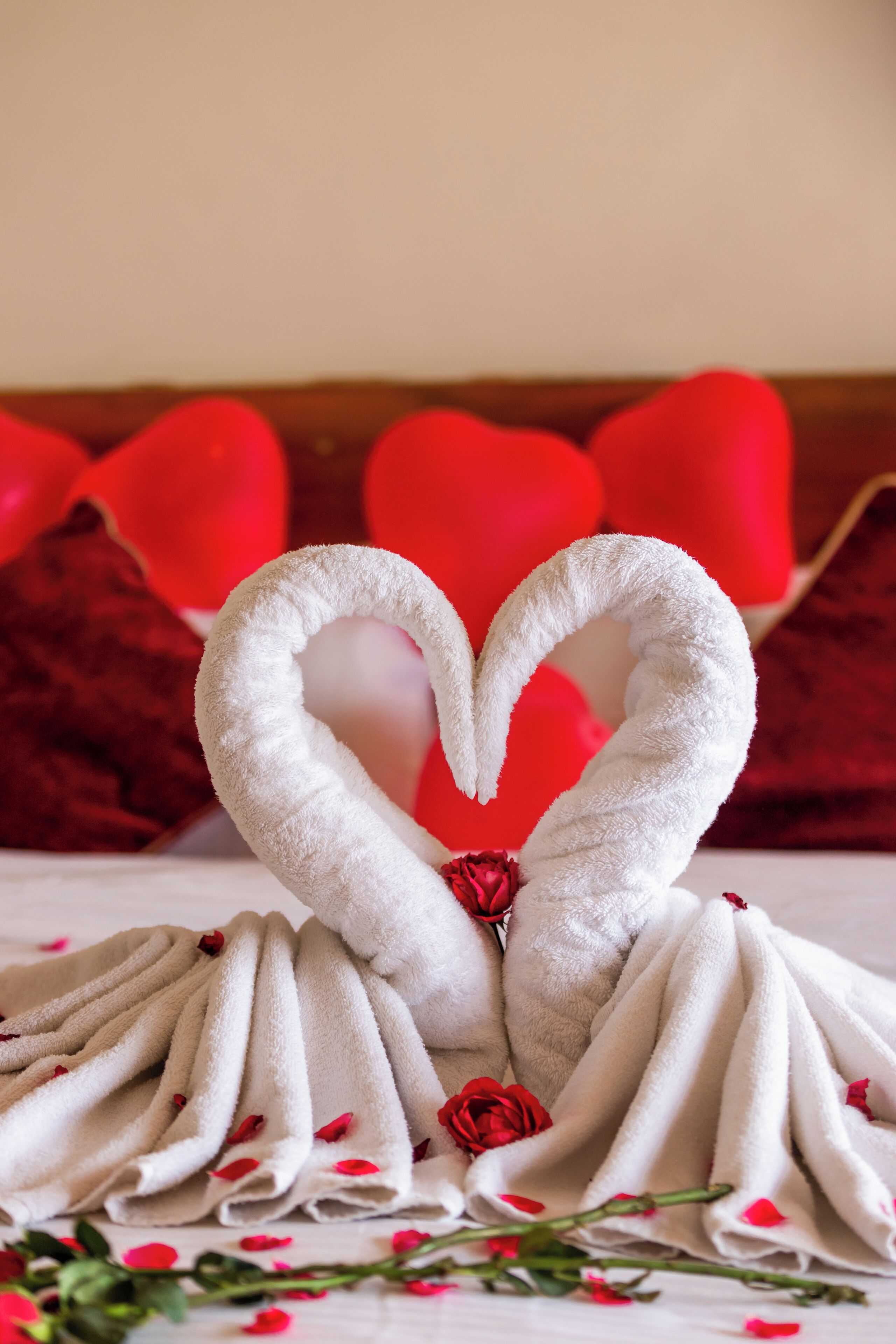 A towel arrangement in the shape of a heart with a rose in the center, placed on a table with red rose petals scattered around.