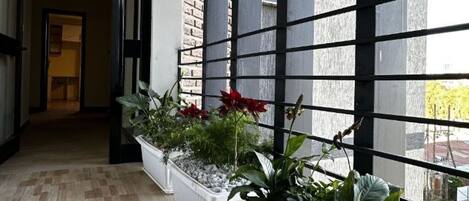 Detalle del exterior