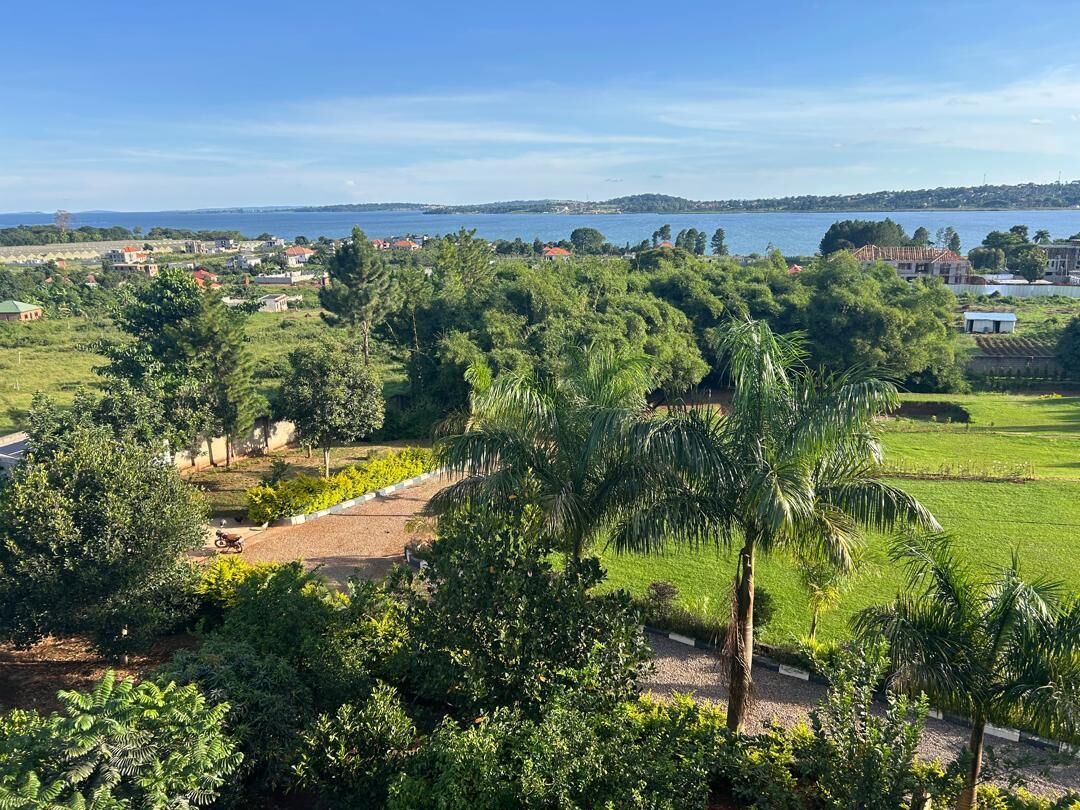 Uma paisagem verdejante e exuberante com um corpo d'água, árvores e uma vista distante de uma cidade.