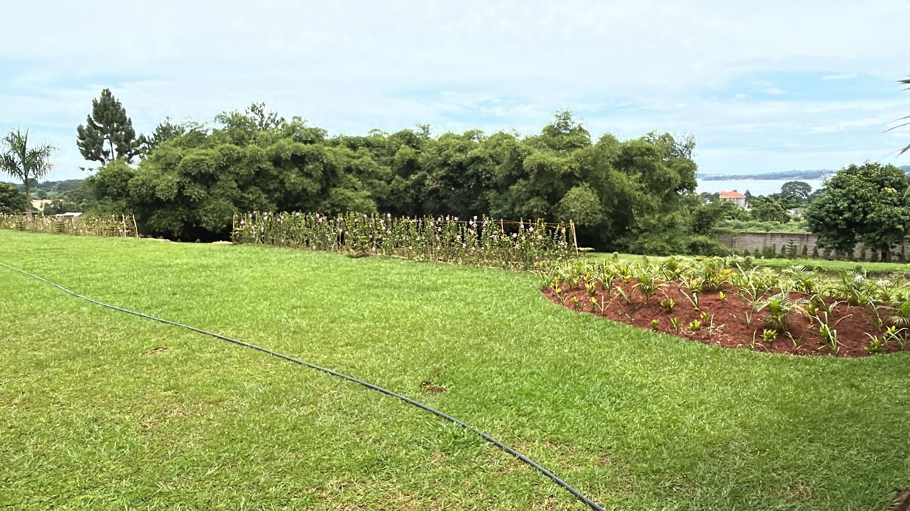 庭園