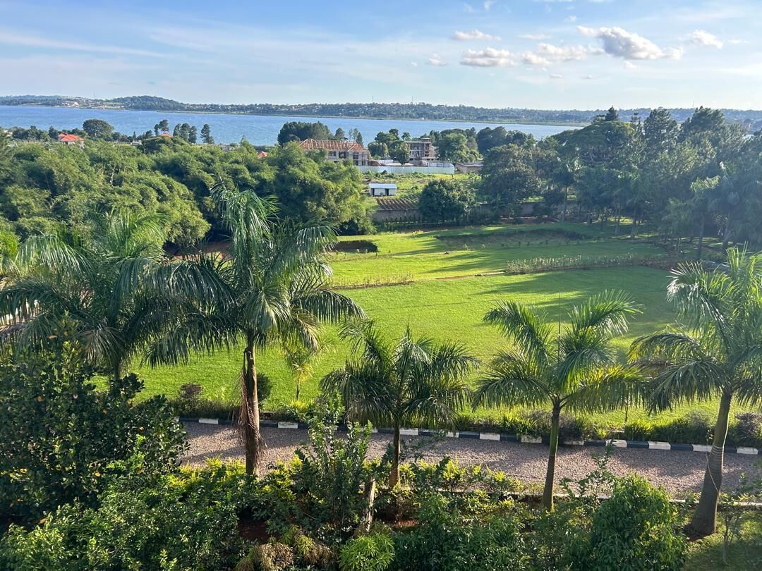 Vista al lago