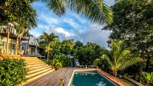 A wooden deck leading to a rectangular pool surrounded by lush greenery and palm trees.