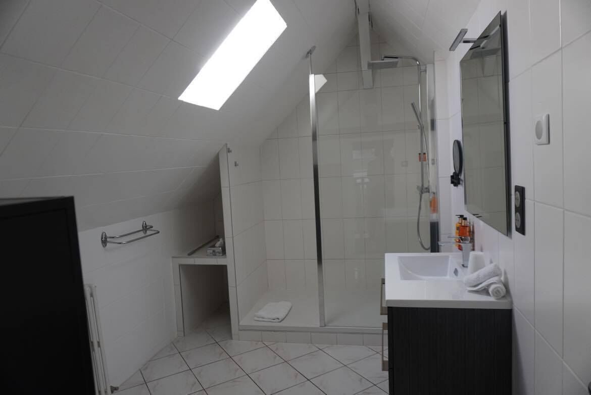 Une salle de bain moderne avec une douche à parois de verre, un lavabo blanc et un miroir.