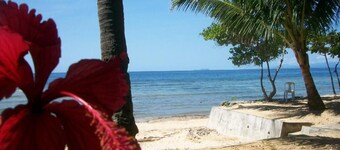 Toris Backpackers Paradise