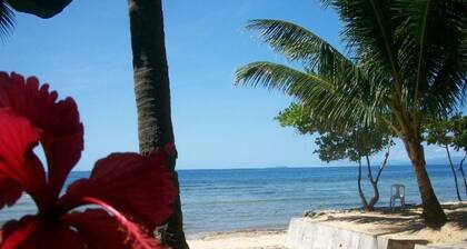 Toris Backpackers Paradise