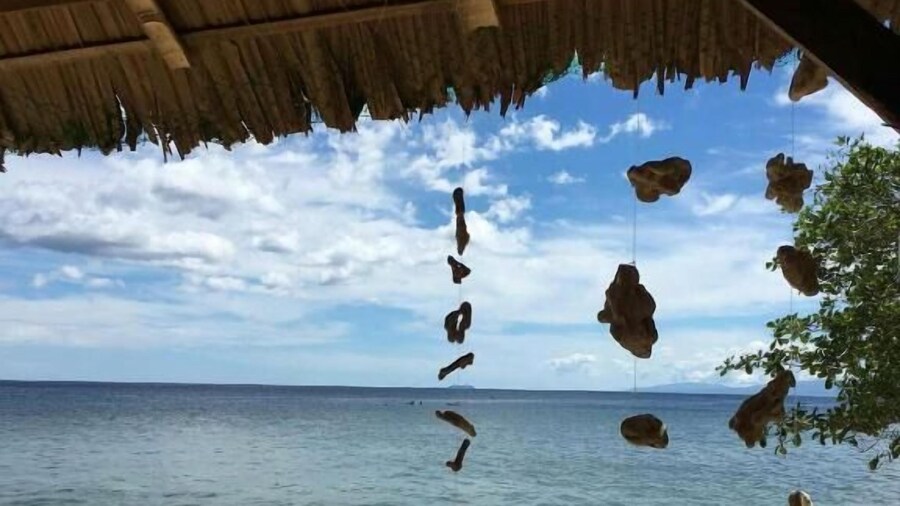 Toris Backpackers Paradise