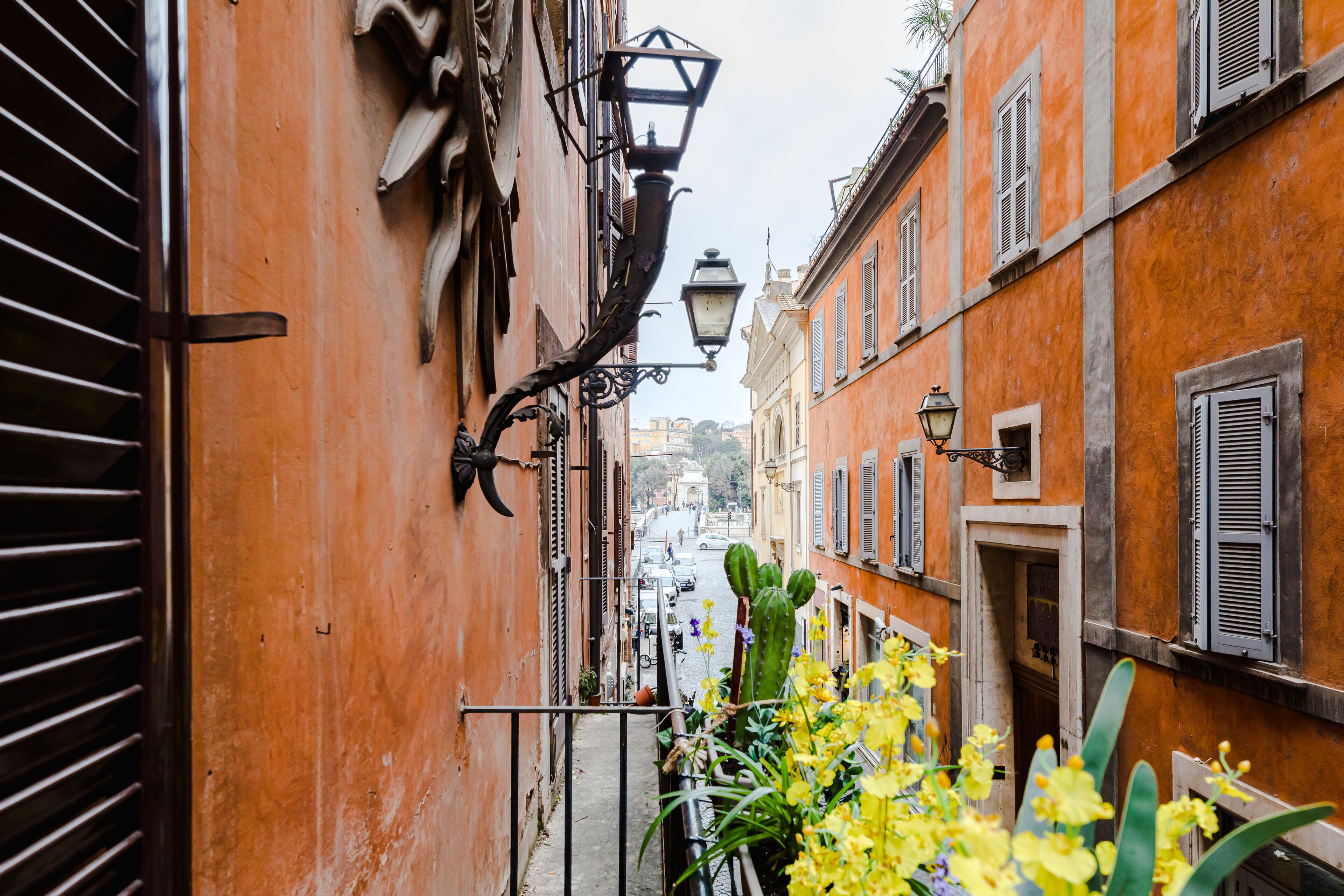 A narrow street with buildings on either side, a metal railing, and a cactus plant with yellow flowers.