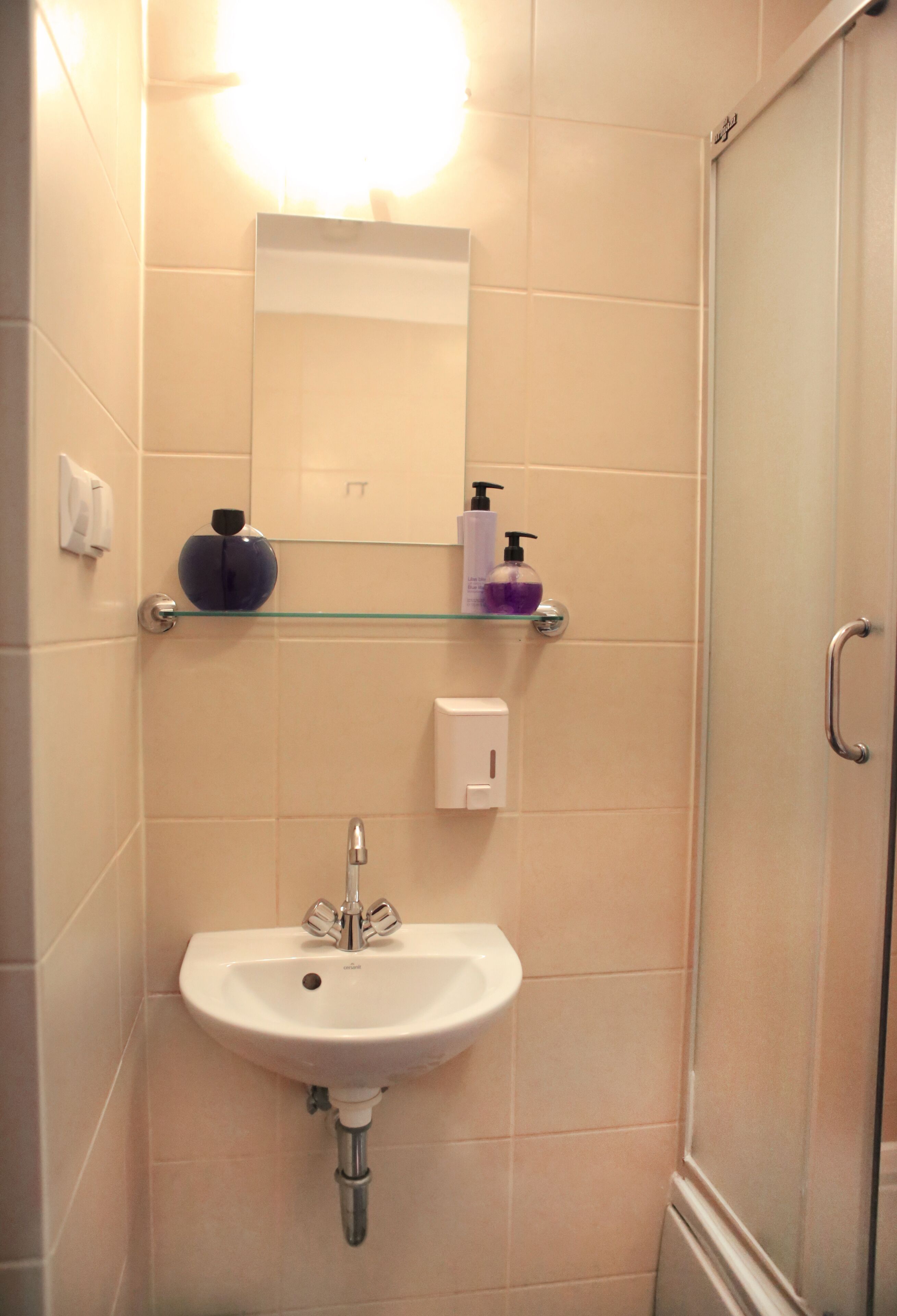 A bathroom with a white sink, a glass shelf with toiletries, and a glass shower enclosure.