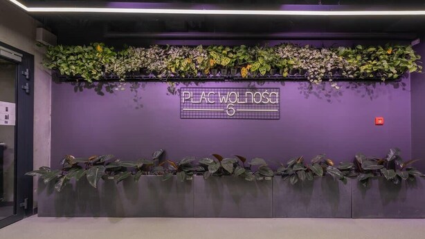A purple wall with a sign reading "PLAC WOLNOSCI 6" and a row of plants in front. - Modern Studio in the Center | Balcony and Workspace (Poznan)