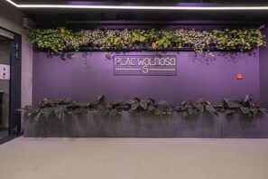 Un mur violet sur lequel on peut lire l’inscription « PLAC WOLNOSCI 6 », avec une rangée de plantes devant.