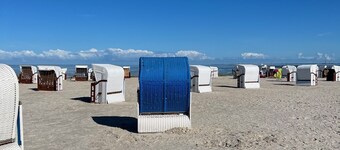 Design Apartment in Carolinensiel