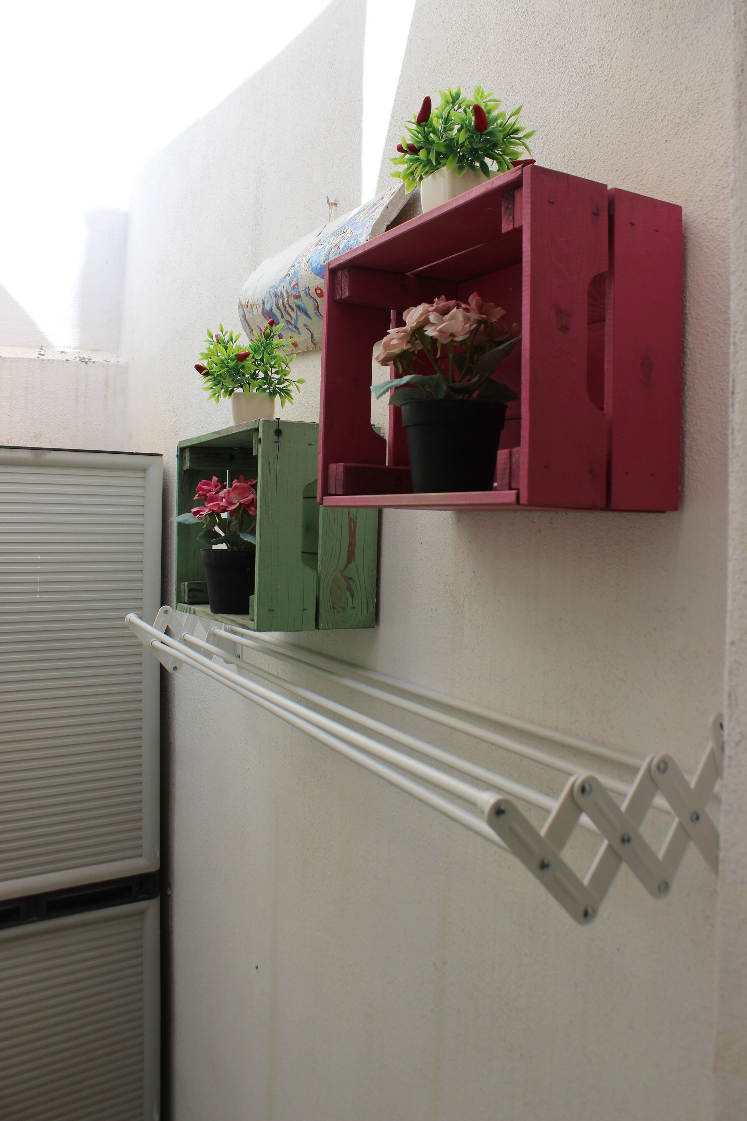 A wall-mounted shelf with two potted plants and a drying rack.