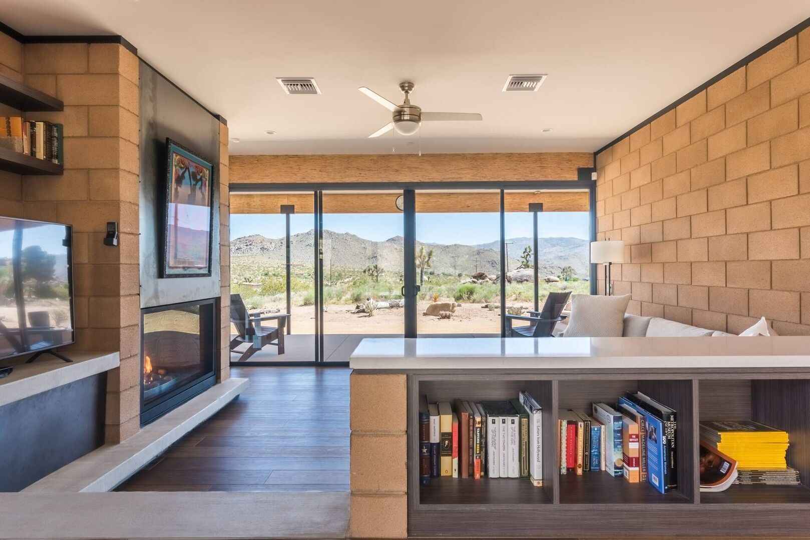 Smart TV, fireplace, books