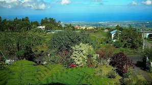Üppige grüne Landschaft mit terrassierten Feldern und freiem Blick auf eine ferne Stadt.