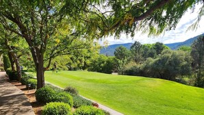 A well-maintained lawn with a pathway, surrounded by trees and shrubs, with a mountain view in the background.