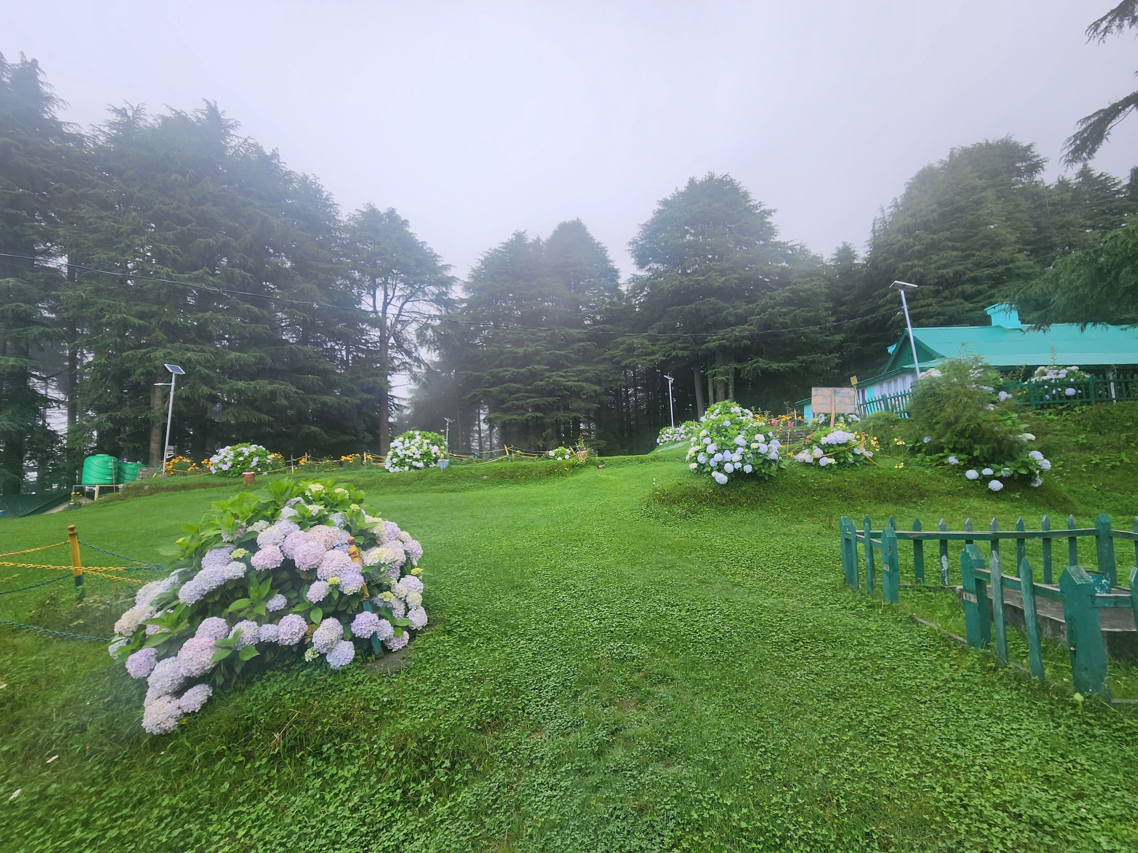 A well-maintained garden with various flower arrangements and a green fence.
