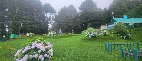 A well-maintained garden with various flower arrangements and a green fence.