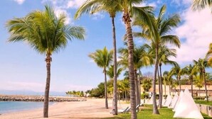 Una playa con palmeras, cielo despejado y una fila de tiendas blancas.