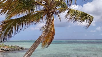 En la playa, sillas reclinables de playa, toallas de playa