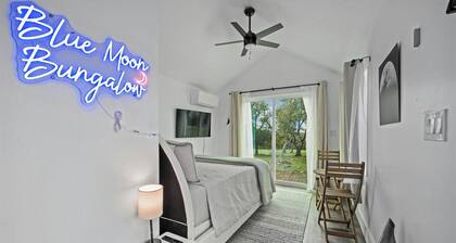 Blue Moon-pet friendly tiny home!