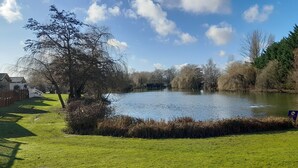 Een rustig park met een vijver, gazons en bomen.