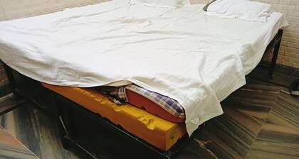 Hotel President