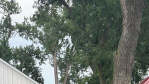 A residential property with a well-maintained lawn, a garage, and a large tree. - Quaint, all new loft apt. located in a quiet country setting, minutes from town. (Fort Pierre)