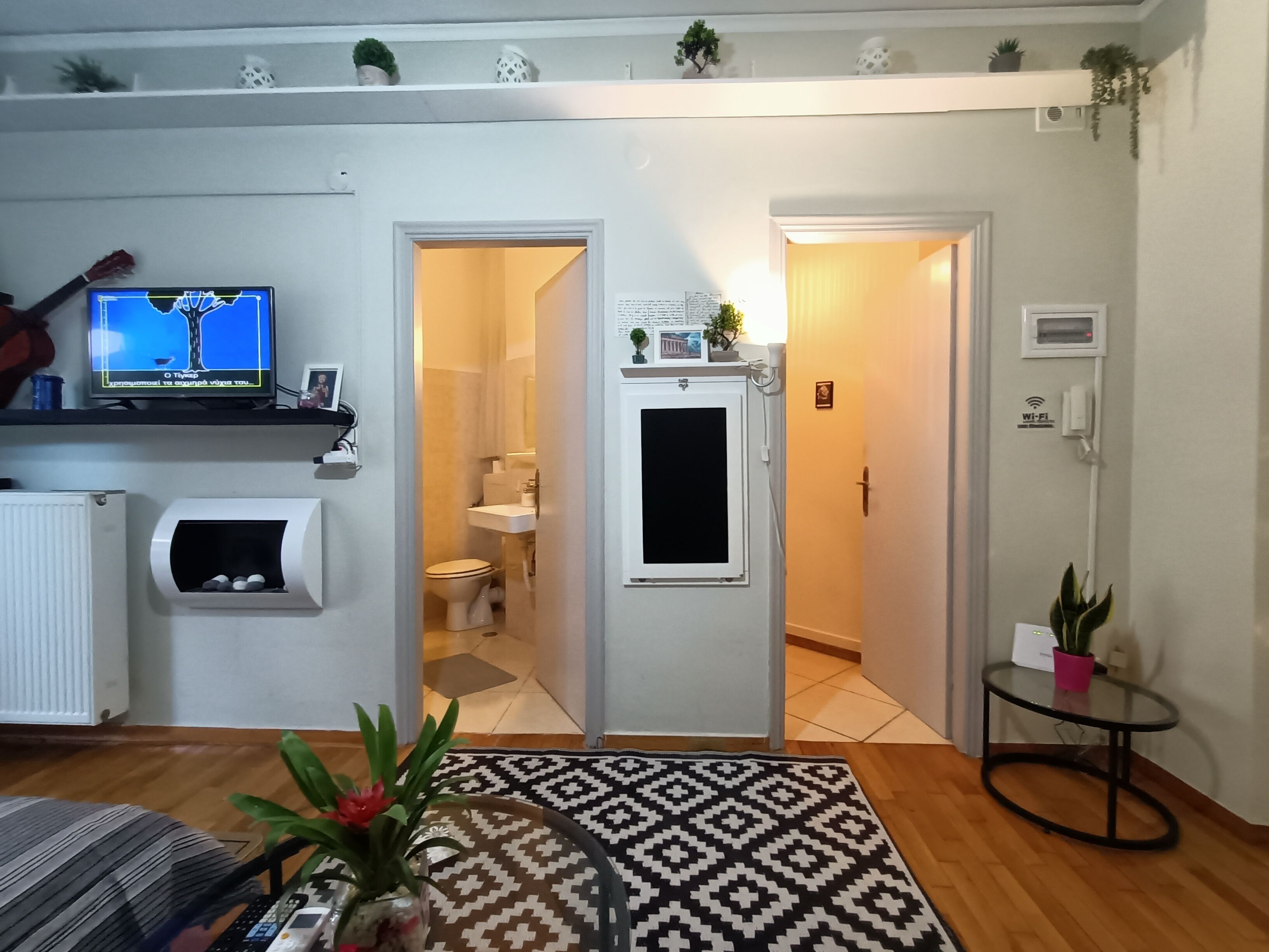 Un salon avec un téléviseur, un radiateur, une petite table sur laquelle est posée une plante, et un tapis à motifs.