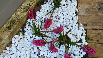 DĂ©tail de lâextĂ©rieur