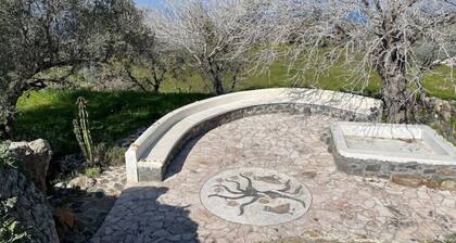 Nisyros Traum Speladi