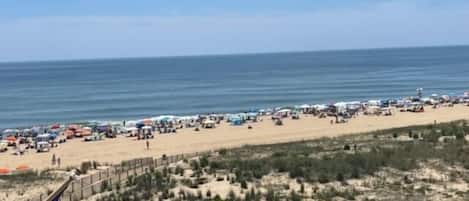 Una spiaggia nelle vicinanze