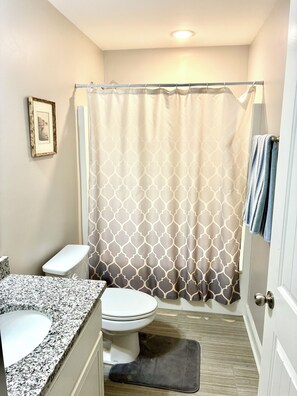 A bathroom with a toilet, a sink, a shower curtain, and a framed picture on the wall. - Charming Private Suite with Game Room in Athens (Athens)
