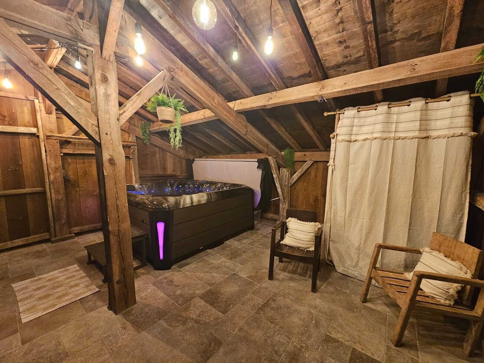 Ein rustikaler Holzraum mit Sauna, Holzbänken und hängenden Pflanzen.