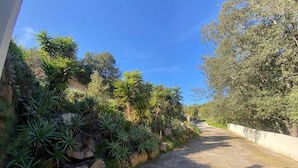 A gravel driveway flanked by lush vegetation and a stone wall. - Appartement T3 - 50M DE LA Plage - Rupione (PIETROSELLA)