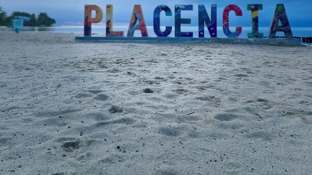 Plage, chaises longues, serviettes de plage