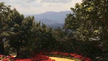 Terrain de l’hébergement